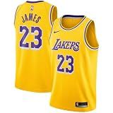 Lebron James Los Angeles Lakers NBA Kids Youth 8-20 Yellow Gold Icon Edition Swingman Jersey (US, Numeric, 14, 16, Regular, Yellow)
