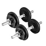 Yes4All 40 LB Adjustable Dumbbell Set, Cast Iron Weights for Home Gym with Bars, Plates, Collars, Hand Weights Dumbbells Set