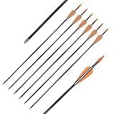 Elong Fiberglass Arrows Archery 24 Inch Target Shooting Practice Safetyglass Recurve Bows Suitable for Youth Children Woman Beginner (6 pcs)