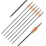 Elong Fiberglass Arrows Archery 24 Inch Target Shooting Practice Safetyglass Recurve Bows Suitable for Youth Children Woman Beginner (6 pcs)