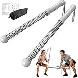 POWER GUIDENCE 2pcs Ropeless Battle Ropes for Home Gym, Portable Battle Ropes for HIIT Workouts, Small Space, Travel & Apartment Training Equipment for Men & Women