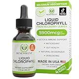 Benevolent Nourishment Chlorophyll Supplement, Detox & Immune Support, Internal Deodorizer - Liquid Drops, Natural Mint Flavor, 4 Month Supply, 59ml