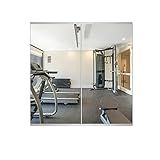 Delma Home Gym Mirror,48''x24''x2PCS Silver,Large Full Body Tempered Glass Frameless, Wall-Mounted for Gym, Yoga, Garage, Bedroom, Bathroom