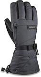 Dakine Titan Gore-TEX Snow, Snowboard and SKI Gloves - Carbon, Large