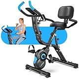 Birdfeel Foldable Exercise Bike, Multifunctional Indoor Stationary Bikes for Home with 8-Level Magnetic Resistance, Quiet Workout Bike with Arm Resistance Bands, LCD Monitor, 300LBS Capacity (Dark Black)
