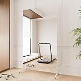 brisafe NanoMirror Non-Glass Ultra-Light 9.5 lbs Home Gym on Wheels, 67" x 40" Extra Large Full Body Mirror, Unbreakable & Shatterproof, 360° Swivel for Yoga, Dance, Fitness Studio & Home, White