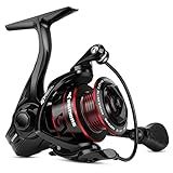 KastKing Royale Legend Fishing Reel - 5.2:1/6.2:1 Gear Ratio Spinning Reel, Up to 22 Lbs of Carbon Drag, 5+1/7+1 Stainless Steel Ball Bearings, Graphite Frame, Asymmetric Spinning Reel Rotor Design