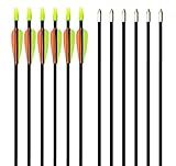 GPP 28" Fiberglass Archery Target Arrows - Practice Arrow or Youth Arrow for Recurve Bow- 12 Pack