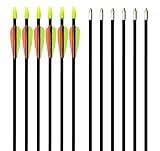 GPP 28" Fiberglass Archery Target Arrows - Practice Arrow or Youth Arrow for Recurve Bow- 12 Pack