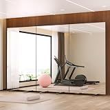 brisafe Mobile Folding Screen NanoMirror, 118 x 71 in, Black