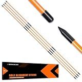 BIRDIEBLAST Professional 2 or 3 or 4 Pack Collapsible Golf Alignment Sticks, Premium 40" Alignment Golf Stick Ideal for Aiming, Putting and Swing Practice