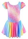 Gymnastics Leotards for Girls Athletic Dance Wear 6 7 Girls Dance Leotard Sparkle Rainbow Stripe Biketard (Rainbow Galaxy, 6-7 Years)
