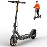 WERHY Electric Scooter, 500W/350W Powerful Motor & 19MPH Top Speed, 16/25/27 Miles Range, Folding E Scooter with Dual Braking for Teens and Adults