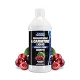 Parker Naturals Concentrated L-Carnitine Liquid, 5000mg All Natural Cherry Flavored Supplement, Liquid L-Carnitine with Vitamin V5, 16.23 Fl. Oz