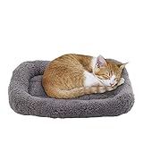 lesypet Cat Beds for Indoor Cats, 15" x 10" Small Cat Bed Curl Sleep Plush Cushion with Pillow, Non-Slip Bottom Washable Mat for Small Pet Puppy Rabbit, Small