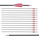 LWANO 28" Fiberglass Arrows - Archery Practice Target Arrows with Blunt Tips Durable Shaft for Youth Beginners on Recurve&Long Bows(Pack of 12)