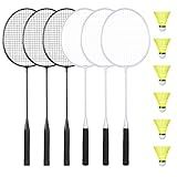 AboveGenius Badminton Rackets Set with 6 Shuttlecocks, Lightweight Badminton Set of 6 for Outdoor Backyard Games, Racquets with Durability for Beginners and Casual Players