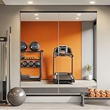 TRAHOME Home Gym Mirror for Wall,56x28x2PCS Full Length,Glass Frameless Body Large Mirror for Home Gym,Workout,Bedroom,Garage(Black)