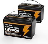 2-Pack 12V 100Ah LiFePO4 Lithium Battery Group 31 Built-in 100A BMS, Low-Temp Protection Up to 15000 Deep Cycles Rechargeable Battery for RV, Marine, Solar System, Van, Trailer, Home Energy Storage