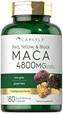 Carlyle Maca Root Capsules for Women & Men | 4800 mg | 180 Count | High Potency Extract | Non-GMO & Gluten Free Supplement