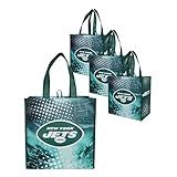 FOCO NFL Logo 4-Pack Reusable Grocery Shopping Bags Totes, Team Color