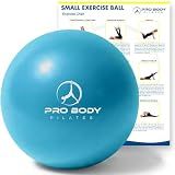ProBody Pilates Ball Small — 9 Inch Small Yoga Ball (Sky)