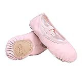 Stelle Ballet Shoes for Girls Toddler Soft Leather Split Sole(PK, 9MT) Pink