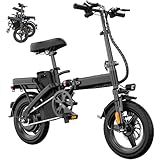 RPINT Foldable Electric Bike for Adults and Teens 500W Motor, 14" Folding E Bike with 48V Removable Battery UL 2849 Certified, Electric Bicycle with 30 Miles PAS Range, 20MPH Commuter Mini E-Bike