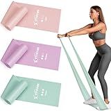 Resistance Bands for Working Out, Exercise Bands, Resistance Band for Physical Therapy, Stretch Bands for Pilates, Rehab, Stretch, Strength Training and Yoga Starter Set