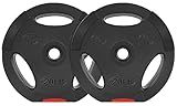 Fitvids Vinyl Standard 1-Inch Plate Weight Plate for Strength Training and Weightlifting, 20-Pound, Pair
