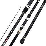 BERRYPRO Surf Spinning Fishing Rod Graphite Spinning Rod (9'/10'/11'/12') (10'-Casting-2pc)