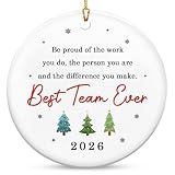 OASSIE Christmas Team Gifts for Coworkers - Christmas Ornaments 2026