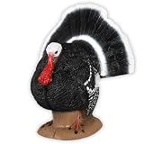Delta McKenzie Strutter Turkey Archery Target - Lifelike 3D Self-Healing Foam Design, Durable Bow & Crossbow Practice Target for Field Points & Broadheads, Realistic Strutting Turkey for Bowhunting