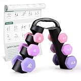 LIONSCOOL 2LB 3LB 4LB Pair Neoprene Coated Dumbbell Set with Sturdy and Portable Rack, All Purpose Premium Hex Dumbbell Set (Lilac Fantasy)