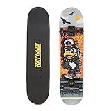 Tony Hawk 31" Skateboard - Signature Series 1 Skateboard with Pro Trucks, Full Grip Tape, 9-Ply Maple Deck, Ideal for All Experience Levels