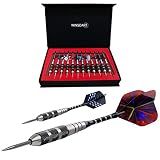 WINSDART Darts Metal Tip Set Professional Steel Tip Darts for Dartboard 12 pcs 22 g with Nonslip Iron Barrel, Aluminum Dart Shafts, Extra Flights, Dart Sharpener, Giftable Dart Case