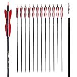 30Inch Carbon Arrow Archery Hunting/Targeting Practice Arrows with 5" Turkey Feathers for Compound Recurve Longbow 12Pack