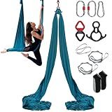 VEVOR Aerial Silk & Yoga Swing, 8.7 Yards, Aerial Yoga Hammock Kit with 100gsm Nylon Fabric, Full Rigging Hardware & Easy Set-up Guide, Antigravity Flying for All Levels Fitness Bodybuilding, Green