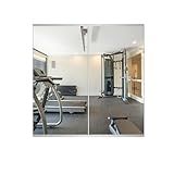 Delma Home Gym Mirror,48''x24''x2PCS Silver,Large Full Body Tempered Glass Frameless, Wall-Mounted for Gym, Yoga, Garage, Bedroom, Bathroom