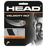 Head Velocity MLT Tennis Racket String 40' Set Multifilament Racquet String - Black, 17 Gauge