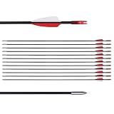 31" Training Arrows-Archery Practice Target Arrows for Youth or Beginners