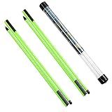 Rhino Valley Golf Alignment Sticks - 2 Pack Collapsible Golf Practice Rods for Aiming, Putting, Full Swing Trainer, Posture Corrector with Clear Tube Case, Portable Golf Training Equipment, Green