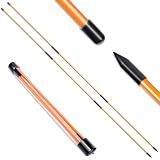 BIRDIEBLAST Professional 2 or 3 or 4 Pack Collapsible Golf Alignment Sticks, Premium 40" Alignment Golf Stick Ideal for Aiming, Putting and Swing Practice