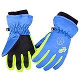 Azarxis Kids Winter Ski Gloves - Waterproof Snow Glove for Snowboarding, Sledding (9-12 Years Old, Blue)