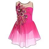 Ice Skating Dress for Girls - Sequin Flower Mesh Ballet Dance Leotard Dress with Chiffon Skirt - Ballerina Dancewear for Competition & Stage Performance - Hot Pink (3-4 Years)