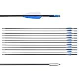 LWANO 31" Training Arrows-Archery Practice Target Arrows for Kids Youth or Beginners with Durable Shaft on Recurve Bow Compound Bow and Longbow