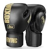 FIVING Boxing Gloves for Men and Women Suitable for Boxing Kickboxing Mixed Martial Arts Muay Thai MMA Heavy Bag Training