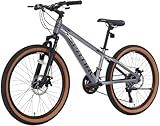 SPATIAL Mountain Bike, 20/24/26/27.5/29 inch Outdoor Cycling Bike,21/8 Speed Lightweight Aluminum Frame | Dual Disc Brakes,Adjustable Ergonomic Seat for Men Women Adult Teens (Sliver, 24'')