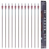 MOYJ Hunting Arrows Mixed Carbon Arrow Archery Practice Shooting Plastic Vanes Fletching Removable Replaceable Broadhead Tips 12pcs I.D.6.2MM O.D.7.8mm Bright Colors Arrows for Recurve Compound Bow