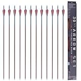 MOYJ Hunting Arrows Mixed Carbon Arrow Archery Practice Shooting Plastic Vanes Fletching Removable Replaceable Broadhead Tips 12pcs I.D.6.2MM O.D.7.8mm Bright Colors Arrows for Recurve Compound Bow